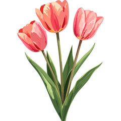 Hand Drawn Watercolor Tulip Flowers Illustration
