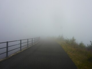 Gęsta mgła na wąskiej asfaltowej ścieżce z barierką po jednej stronie. Tajemniczy i nastrojowy krajobraz leśny lub górski. © Adam