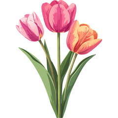 Hand Drawn Watercolor Tulip Flowers Illustration