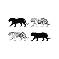 Tiger silhouette and striped tiger walking vector illustration set
