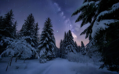 Starry Winter Forest Night Scene with Snow-Covered Trees and Milky Way Galaxy,  Peaceful Nature Landscape for Holiday Backdrops, Celestial Photography, and Seasonal Design Inspiration