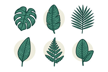 Assortment of diverse green tropical leaves and botanical elements in a stylized hand drawn aesthetic for nature inspired designs and patterns