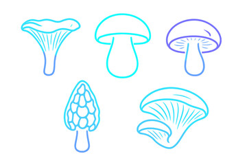 Modern stylized collection of diverse mushroom outlines featuring a vibrant blue and purple gradient on a clean white background