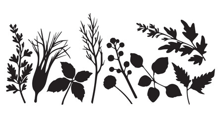 black and white silhouette vector set of herbs and spices 