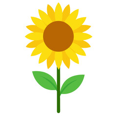 Fototapeta premium sunflower isolated on white