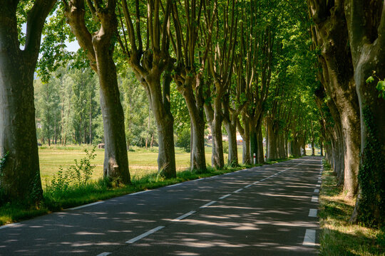 Road in Provence (France) from Manosque to Apt