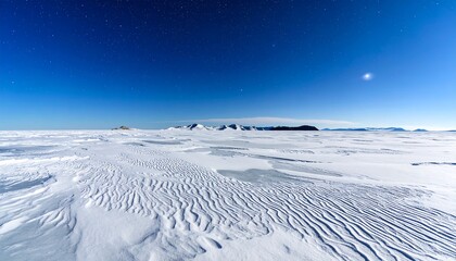 Vast, icy plains under a starlit night sky
