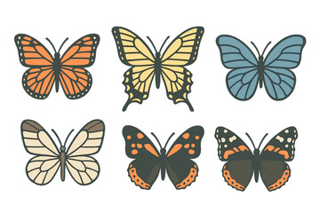 Diverse colorful butterflies with various wing patterns and shapes in a natural setting, a vibrant insect collection