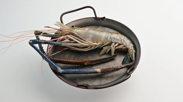 Fresh giant shrimp on display ready for preparation in a kitchen setting