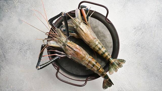 Fresh seafood preparation in a cozy kitchen with large shrimp on ice