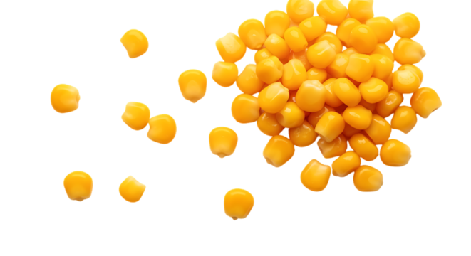 A pile of bright yellow corn kernels scattered and isolated on a transparent background isolated on transparent background