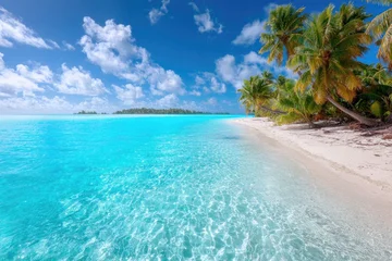 Poster de jardin  Tranquil turquoise lagoon, white sand beach, palm trees  © Dita