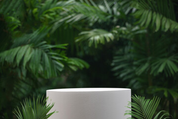minimal podium table top with outdoors in tropical forest nature background.natural product present pedestal modern stand display,healthy life or eco concept.