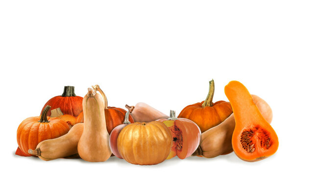 pumpkins on a white background