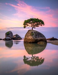 Peaceful sunrise over a tranquil cove with a lone tree on a rock, reflected perfectly in the calm water