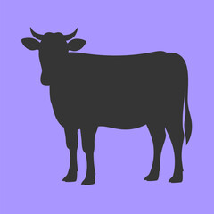 Mature dairy cow silhouette isolated farm animal livestock agricultural breeding