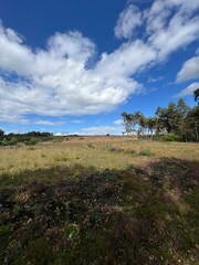 Scenery at Lemelerberg