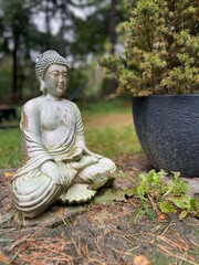 Buddha statue in the forest around Hellendoorn