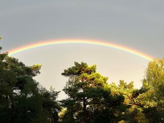 Rainbow above the forest around Hellendoorn