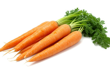 Carrots isolated on white background