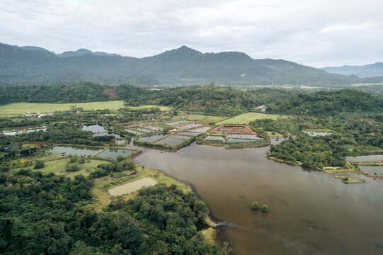 Aerial view of lush coastal landscape with winding river and distant mountains. Aceh Jaya Regency, Aceh, Sumatra, Indonesia