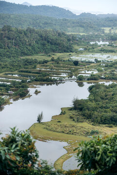 Verdant landscape with a river winding through lush green forests and distant hills. Aceh Jaya Regency, Aceh, Sumatra, Indonesia