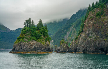 Tree covered islets in Kenai Fjord National Park