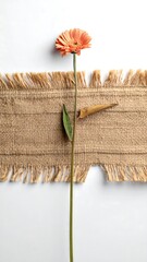 Peach flower on a burlap ribbon