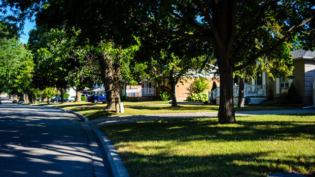 Panoramic view of a row of houses on a curved shady street under tall trees. - Powered by Adobe