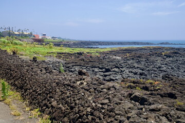 Basalt Wall and Tidal Flats