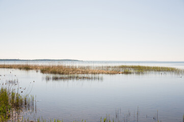 Serene lake landscape with reeds and clear sky