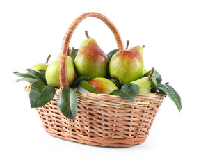 Fresh ripe pears with green leaves in wicker basket isolated on white