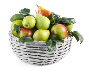 Fresh ripe pears with green leaves in wicker basket isolated on white