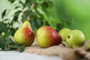 Fresh ripe pears on white table and green leaves outdoors, closeup