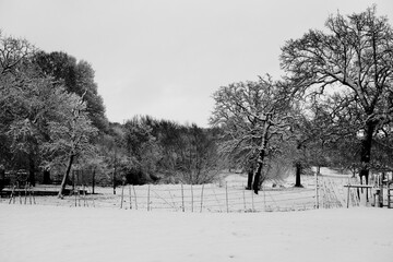 Texas winter farm landscape scene with snow and trees in black and white.
