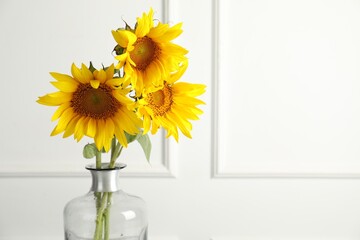 Beautiful sunflowers in glass vase near white wall indoors, closeup. Space for text