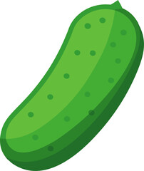 Cucumber Vector Illustration | Fresh Green Vegetable Graphic Design
