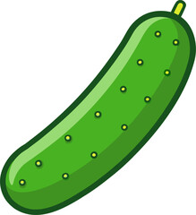 Cucumber Vector Illustration | Fresh Green Vegetable Graphic Design