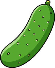 Cucumber Vector Illustration | Fresh Green Vegetable Graphic Design