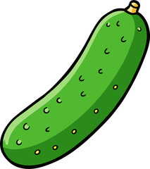Cucumber Vector Illustration | Fresh Green Vegetable Graphic Design