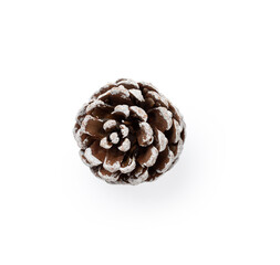 Snowy dry pine cone isolated on white, top view