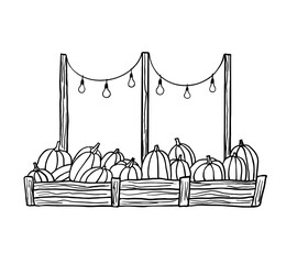 Pumpkins in a crate at a holiday market line art style