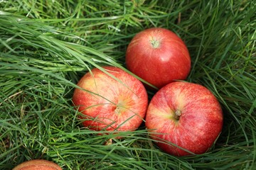 Fresh ripe apples on green grass outdoors, closeup