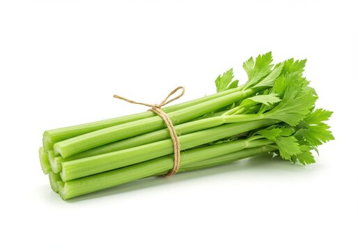 Bunch of fresh celery stalks tied with twine isolated on white background