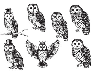 Engraved Halloween Owl Vintage Etching Spooky Night Bird Vector Illustration