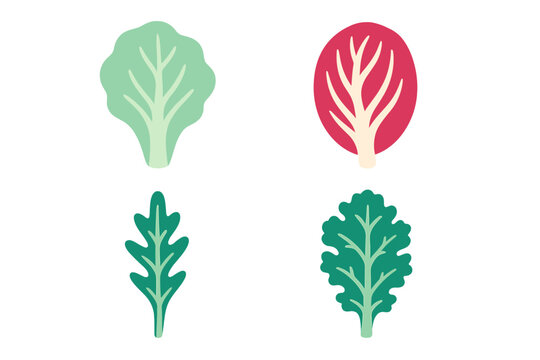 Assortment of fresh leafy green vegetables including lettuce, arugula, kale, and red cabbage for healthy eating and cooking - Powered by Adobe