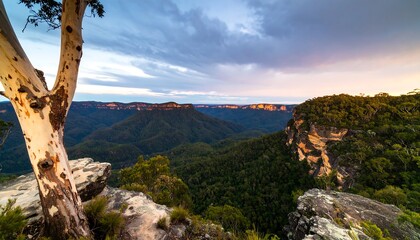 Scenic vista of a lush valley, a pale tree, and a dramatic sky at sunset