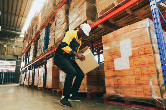 Male workers strength lift heavy boxes merchandise on their shoulders move them  distant shelves and risk injury or accidents from repeatedly lifting heavy items without weight lifting equipment.