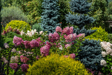 Obraz premium Beautiful flowers after autumn rain in an arboretum in Altai