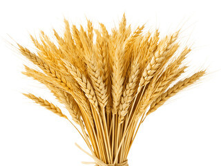 Fototapeta premium A bundle of wheat stalks isolated on transparent background